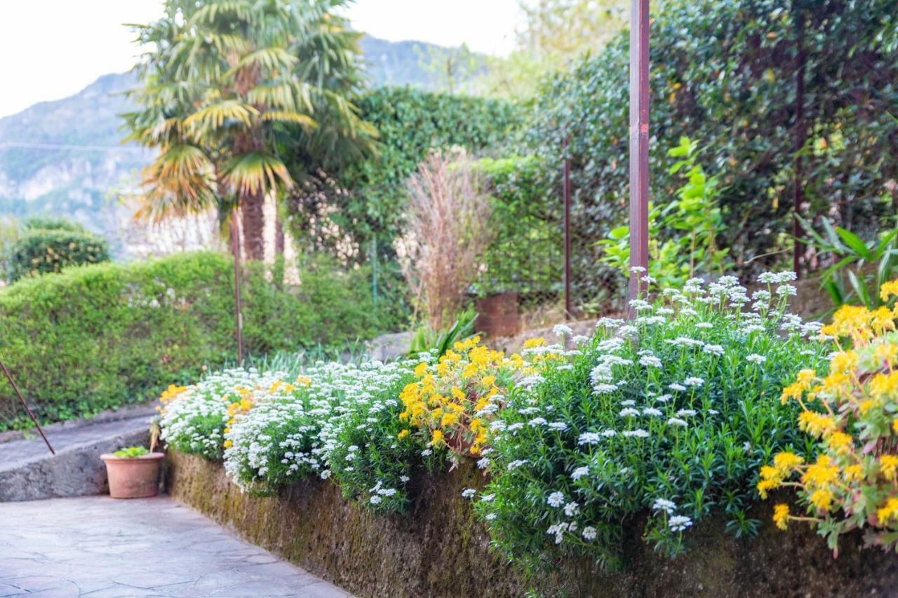 Casa Alice Apartment Lierna Luaran gambar